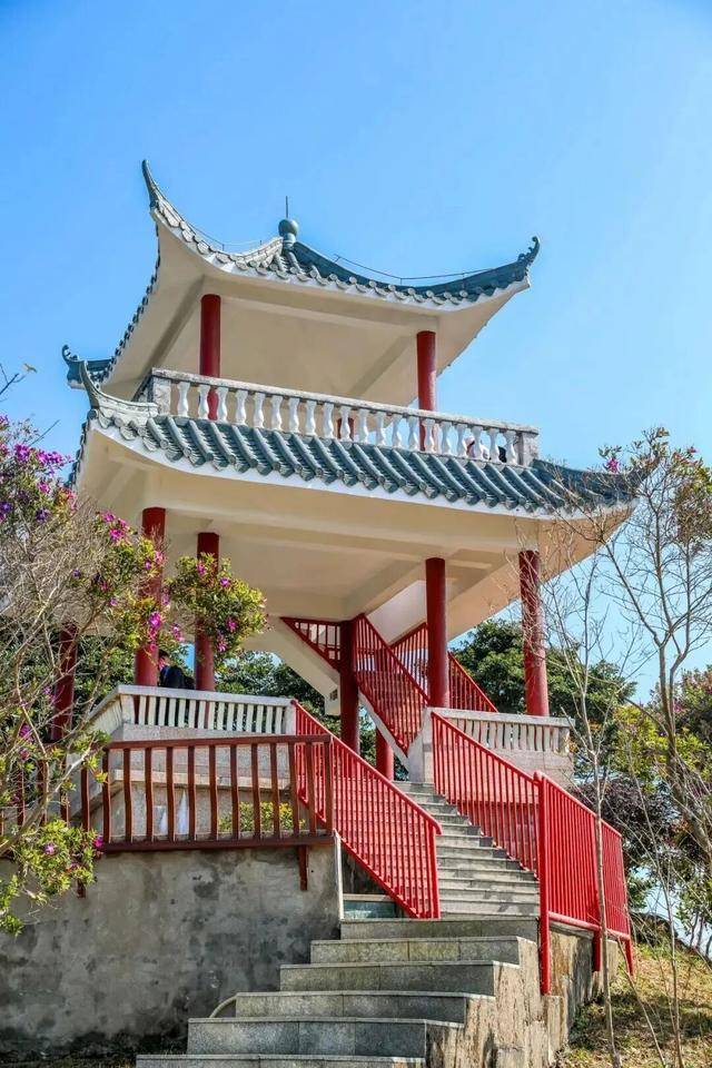 冬日浪漫！深圳坪山賞梅路線快收藏好