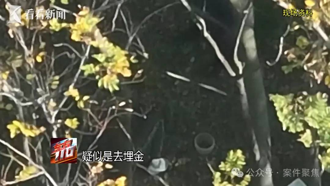 來滬女子專挑上海爺叔下手！“回家按摩”後多人丟失隨身金飾品，警方揪出團伙……