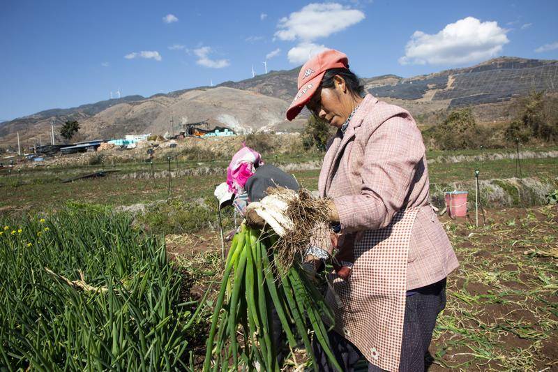【開屏早知道】春運火車票怎麼買？購票日曆請收藏