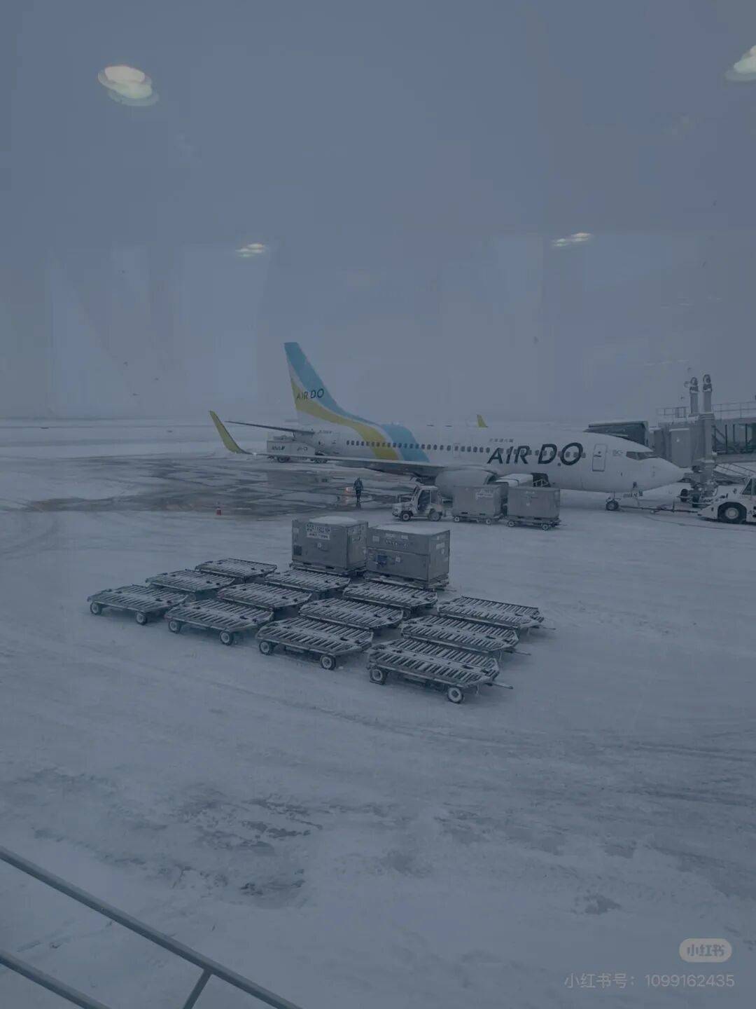 原創航班大量取消，超市貨架買空！中國旅客稱受暴雪影響滯留日本，簡直是災難