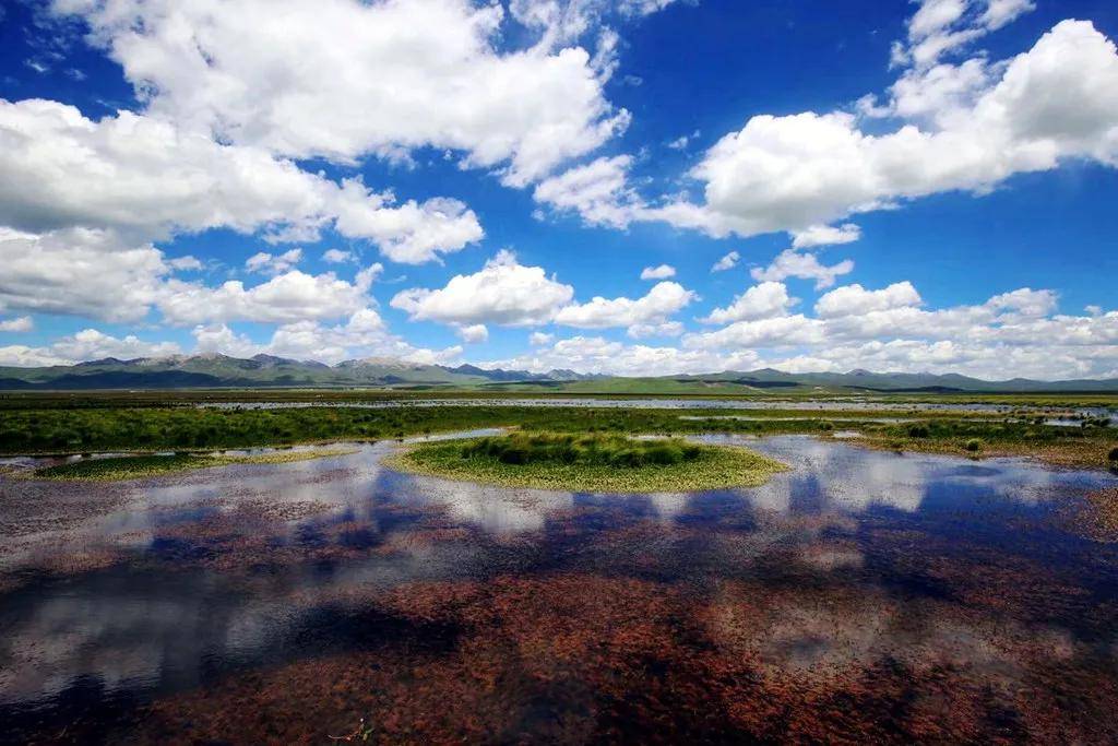 國際旅遊攝影網2026年國內外攝影路線全景指南