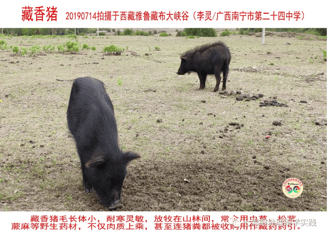 200個地理閱讀和命題的好素材